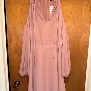 Forever 21 Long Sleeve Mauve Dress
